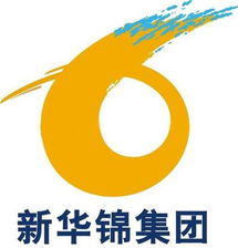 高效貿(mào)易橋梁 山東新華錦國(guó)際商務(wù)集團(tuán)的專(zhuān)業(yè)代理代辦服務(wù)